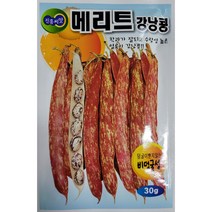 메리트 강남콩 30g - 비덩굴성 얼룩이 강남콩 씨앗 종자
