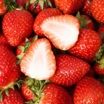 딸기1팩 똑똑한 구매 방법