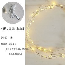 철조망 소품 진열대 액세서리 전시 뜨거운 판매 북유럽 그리드 사진 벽 황금 와이어 메쉬 단철 장식 로즈 메탈릭 컬러 침실 임대, 없음, 18.4m USB 소켓 실버 와이어 라이트