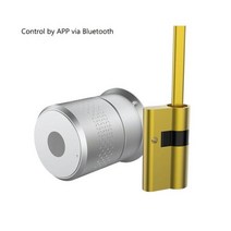 지문인식도어락 디지털 지문인식 전자 도어락 M521 Tuya 스마트 잠금 TTlock 지문 실린더 블루투스 도어 50-100mm 두께 지원 WIFI 홈, M521silver_TUYA Version