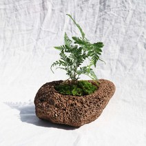 화산석 화분 DIY 키트 반려식물 공기정화 인테리어 회사 개업 축하 선물, 키트(직접제작)
