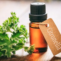 시트로넬라-천연에센셜오일, 100ml