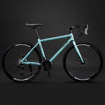 RALEIGH 로드 바이크 자전거 학생 출퇴근 입문용 30만원대 선물, 24단, s9 블루
