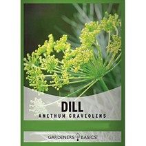 세계 딜씨앗, 타라곤