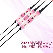 SZ몰 혜성 왕볼 2점등 LED 센서찌 바닥 민물 나노 올림찌 하우스찌 민물낚시찌 입질감지, 2호
