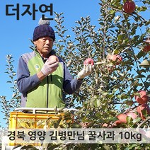 경북 영양 꿀부사 사과 가정용 5kg 29-30과, 단품