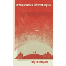 (영문도서) Different Waves Different Depths Paperback, Impeller Press, English, 9798988013303