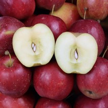 22년 영천 사과 햇사과 알프스오토메 미니사과 2kg 한입사과, 푸 영천 직송 미니사과 특 2kg