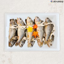 영광법성포 부세보리굴비(업소용) 대 2kg이상 / 50미 / 5두릅 / 나주수산
