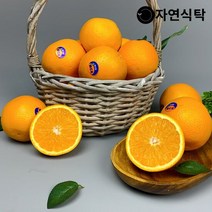 [자연식탁]고당도 네이블 오렌지 15과 중과(개당 200g내외), 단품