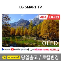 LG전자 83인치 4K UHD 스마트 TV OLED83C1 / 올레드 티비, 4. 지방권역 벽걸이  상하브라켓
