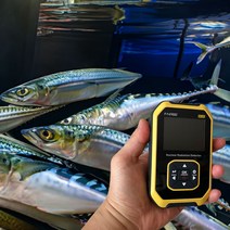 온도테크 국내AS가능 휴대용 방사능측정기 방사선측정기 계측기 가이거 선량계 검출기 수산물방사능측정, 1개