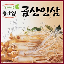 금산인삼 무료세척 세척인삼500g 세척인삼난발삼 세척인삼원수삼500g, 1팩, 무료세척 세척원수삼 튀김용/삼계탕용 대500g(14~20뿌리)   새 상품