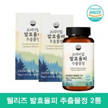 웰리즈 발효율피정 엘라그산 발효율피 추출물, 60정 2통, 2개