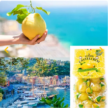 카스텔크렘 포지타노 천연 과일향 레몬 오렌지 사탕 캔디 200g 1+1, 레몬 200g + 오렌지 200g