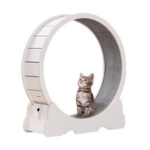 Runcats 원목캣휠 원목캣타워 캣워크 런닝머신 스크래쳐 고양이 실내 운동훈련 헬스기구 DIY 또는 5분만 간이조립 다양한 색상 사이즈, 간단 설치L(102*36*108), 백아이보리