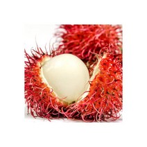 (비비수산) 열대과일 람부탄 1kg