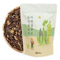 자연닮음 자연산 곡기생 볶은 겨우살이차 150g
