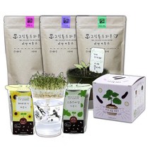 슬로시 어린이집 유치원 교육용 키우기 좋은 식물화분 꽃 허브 새싹 씨앗 재배세트, 스위트바질 (그림봉투화분)