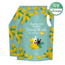 가스파드 항균 버블 핸드워시 레몬(리필) 3L x 2개, 단품