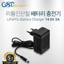 유아 전동차 리튬 인산철 배터리 대호토이즈 파파야나인 헤네스, 2a충전기