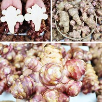 월악산 할배의 돼지감자 분말 1kg, 1개