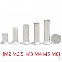 [M2 M2.5 M3 M4 M5 M6] 카운터 싱크 헤드 리벳 알루미늄 솔리드 리벳 GB869, 02 M2.5 (100Pcs)_03 6mm