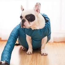 가정용 펫 드라이룸 강아지 드라이기 고양이 건조기 애완견 개털 말리기 애견 털건조기, RCMK 수트M