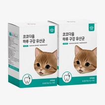 코코다움 고양이 구강케어 영양제 입냄새 구내염 잇몸, 2박스