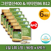 임산부 수유부 가임기 여자 남자 임신 전 준비 초기 부부 그린 엽산 영양제 비타민 b6 b12, 6박스