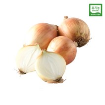 친환경 피양파 1kg (무농약이상)
