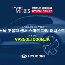 현대모비스 울트라소닉 초음파 센서 스마트 파킹 어시스트 시스템 (99350L1000BJK), 1개
