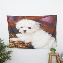 (마르티스) 태피스트리 벽장식 인테리어모빌 큐티한스타일 월행잉 여자아이방꾸미기 아기방꾸미기 우드모, 본상품선택