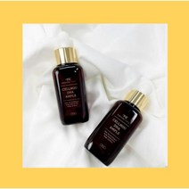 셀뉴 DNA 탈모앰플 50ml 원형 정수리 에센스 두피영양제 탈모완화 탈모방지 케어