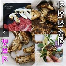 2021년 최고급 자연산 송이버섯