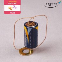 전기의 작용 실험 호모폴라 전동기 키트 5인 초등학교과학 과학준비물 과일전지실험 실기재료 방과후수업