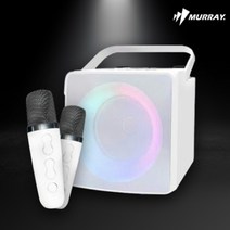 방구석노래방 이동식 가정용 차량용 노래방기기 반주기, 화이트