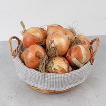 22년 햇양파 저장성이 좋은 짱아찌용 양파 소 7kg, 단품