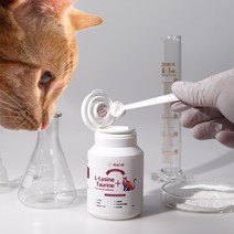 닥터겔 엘라이신 락토페린 고양이 영양제 118g, 1개