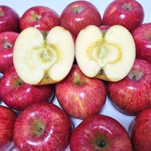 청송 최고급 고당도 선물용 제수용 꿀맛 사과, 최고급 사과 중과, 11과(3.2kg 내외), 1개