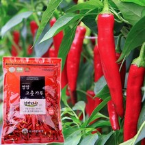다산식품 HACCP 22년 경북영양 청결고추 고춧가루 1.5kg 무배 - 일반초 김치용 보통맛, 일반초 김치용(보통맛)1.5kg