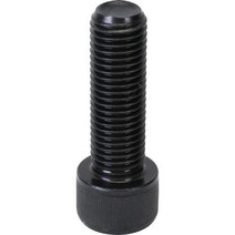 신진화스너 렌치볼트(고장력) M30*100 (1EA), 1개