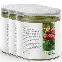 닥터비옴 100% 유기농 꾸지뽕 분말 100g x 3개, 1세트 (3개입)