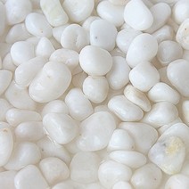 백자갈 콩알크기 3kg-수족관 열대어 어항 바닥모래/헬로아쿠아, 1개