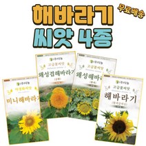 해바라기 씨앗 4종 세트 미니해바라기 금황 왜성겹해바라기 황색 왜성해바라기 황색갈색심 해바라기 야생화 꽃씨 종자, 1개