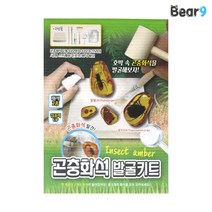 6000 곤충 화석 발굴 키트 호박 화석발굴 곤충화석 유물 고고학 체험 키트 학습 과학 집콕 집콕놀이 과학 릴스 틱톡 보석캐기, 단품