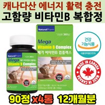 피곤할때 지쳤을때 힘없을때 비타민B 콤플렉스 메틸코발라민 메틸코발라닌 수험생 부모님 중년 40대 50대 60대 비오틴 엽산 판토텐산 비타민비 세포 혈액 생성 활력 에너지 영양제