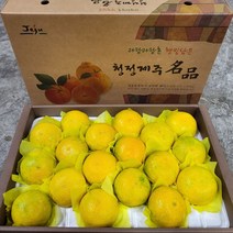 [제주귤농장] 시고 달기만한 저가랑 비교불가! 입안에서 향이 퍼지는 이것이 찐이다 프리미엄 황금향 명절 선물용 가정용, 황금향 선물용 5kg 특대 (9-13과)