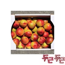 제철 털 2kg내외 (소과10-12과실중량) 최대쿠폰가 104원, 천도 복숭아 5kg내외 (특대과/200g내외/포장재포함