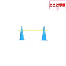 소소한생활 강아지 어질리티 기구 큰 근력 운동 훈련, 소소한생활 큰꼬깔, 큰꼬깔